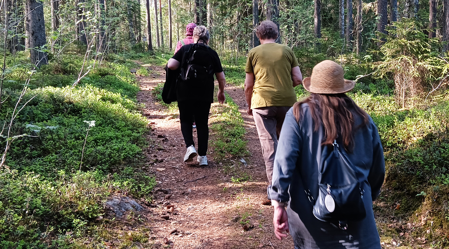 Kolme naista kävelee metsäpolkua pitkin takaapäin kuvattuna.